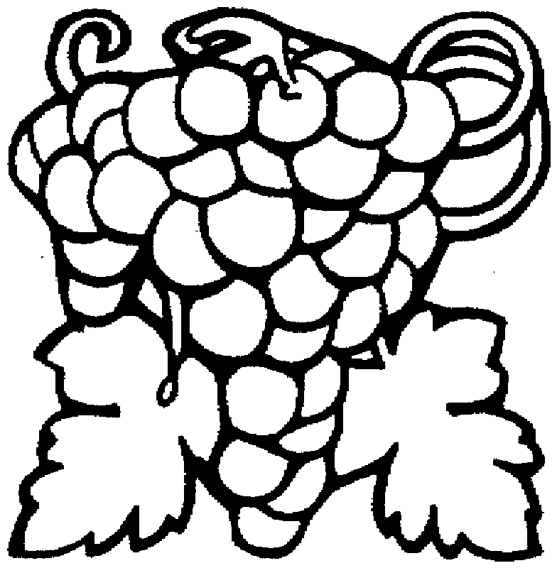 Grape 3 Coloring Pages | Free Printable Coloring Pages 