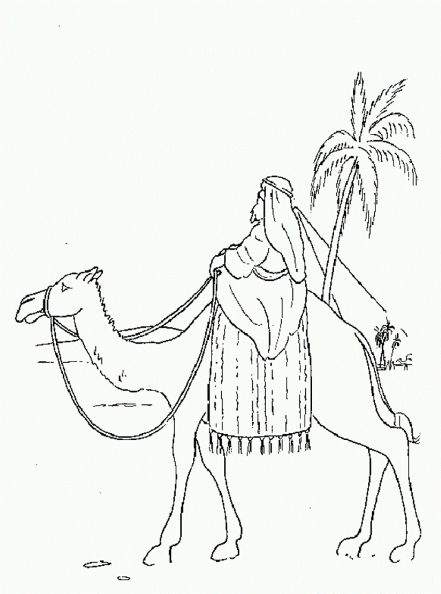 Bible Man On Camel Stories Coloring Page Coloringplus 280018 Camel 