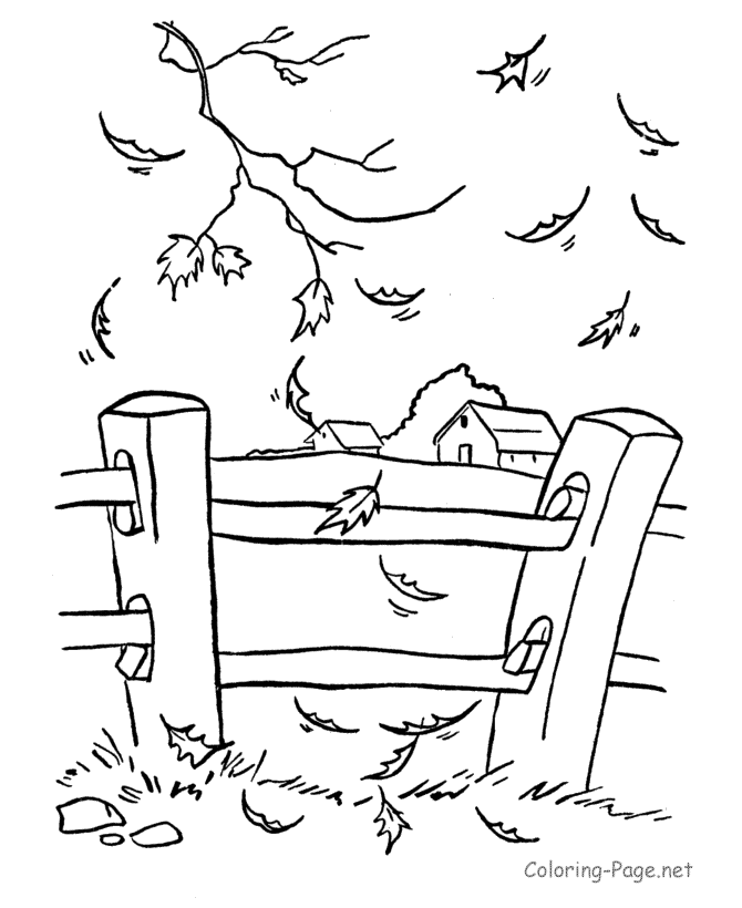 Fall coloring page - Fall leaves | Coloring Pages