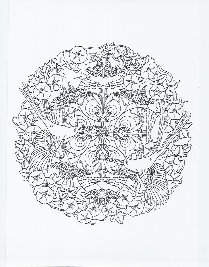 animal mandala - hummingbird | Coloring Pages