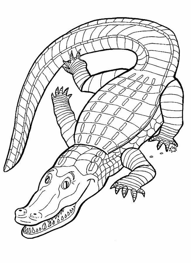 Crocodile Colouring Pictures | Wild Life Pictures