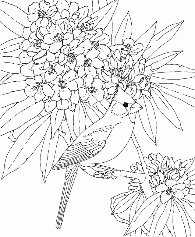 State Bird And Flower Coloring Page Mississippi Printables Tattoo 
