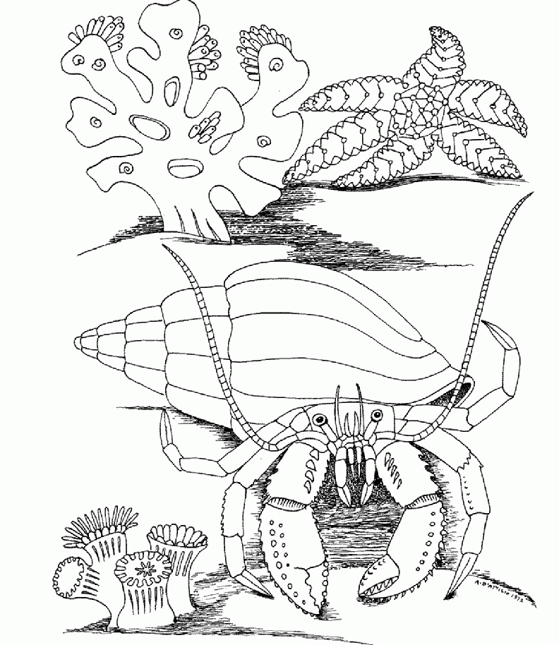 Underwater World. Coloring Pages print and color | Coloring Pages