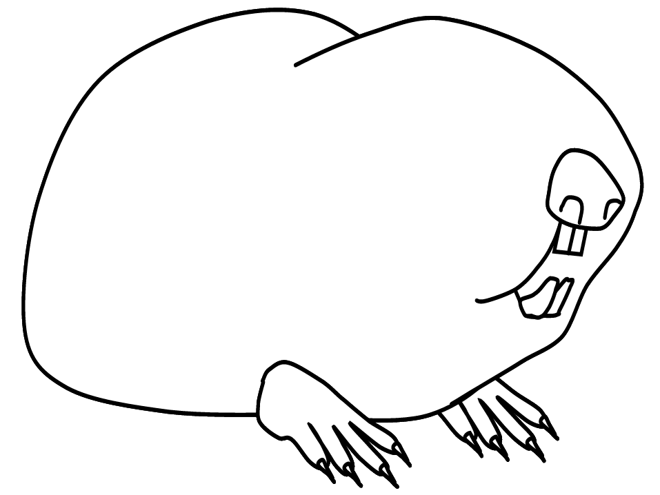 Mole Rat Colouring Pages (page 2)