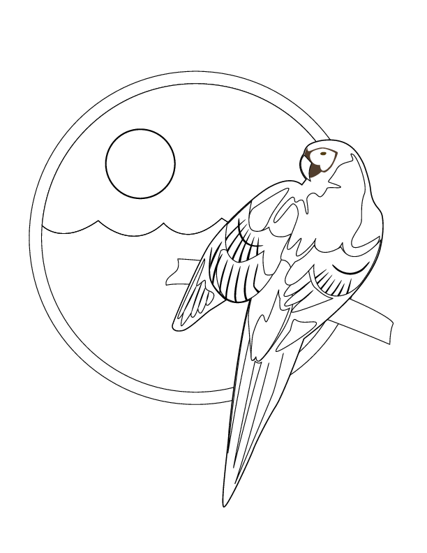 parrot 0150 printable coloring in pages for kids - number 2418 online