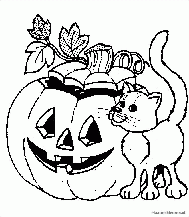 Haloween Pumpkin and Cat Coloring Page