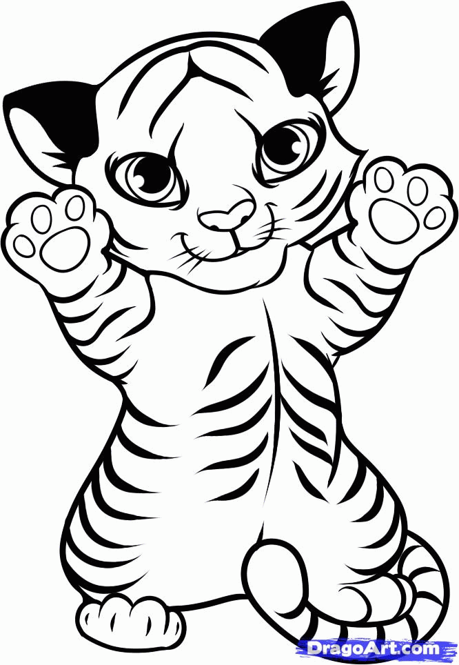 Draw a Tiger Cub, Tiger Cub, Step by Step, Drawing Sheets, Added 