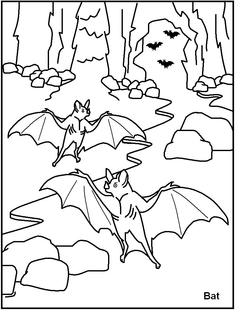 animal prints Colouring Pages (page 3)