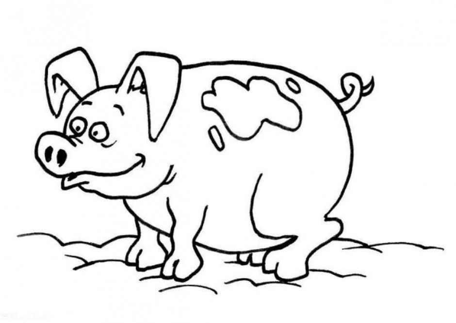 Transmissionpress Free Coloring Kids Quot Pig Quot Animal To Print 