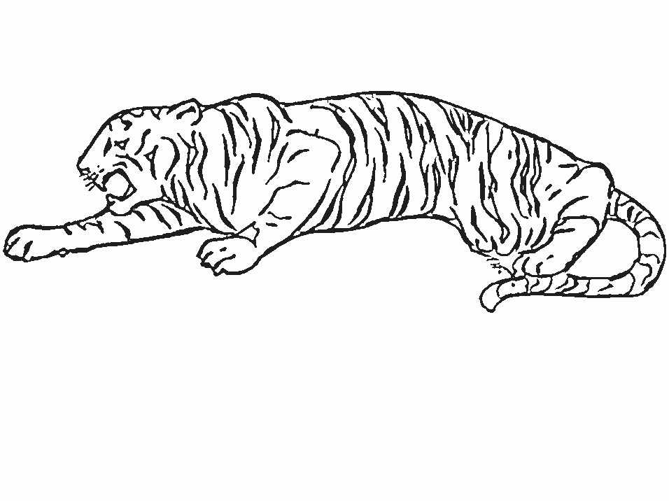 Printable Tigers Tiger10 Animals Coloring Pages - Coloringpagebook.com