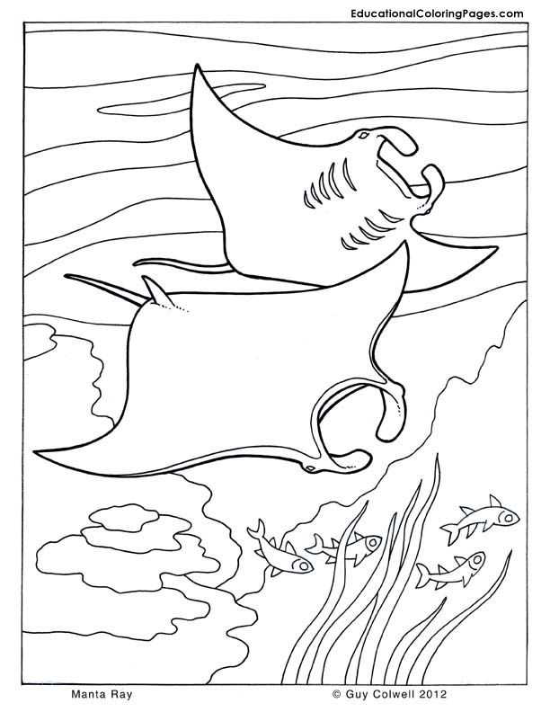 Ocean Coloring Pages free For Kids