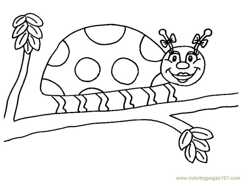 Coloring Pages Ladybug (Insects > ladybugs) - free printable 