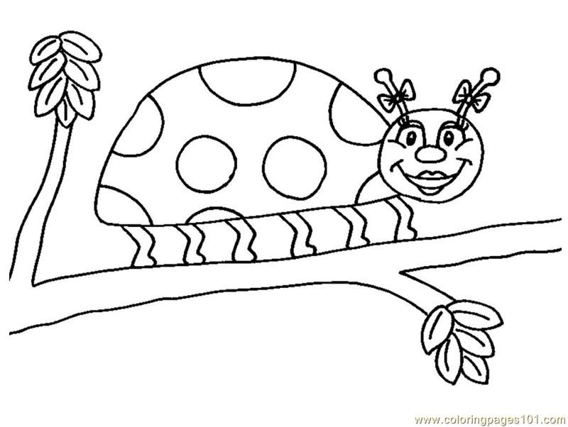 Free Ladybug Coloring Pages Drawings