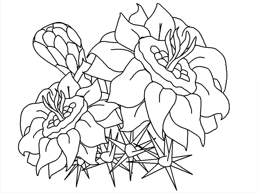 Detailed Coloring Pages Of Flowers