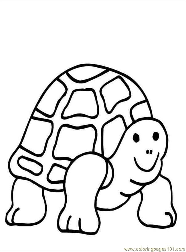 Download Free Printable Turtle Coloring Pages For Kids Online