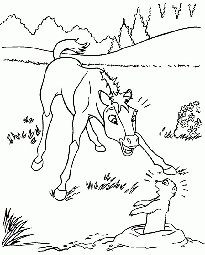 spirit the movie horse Colouring Pages