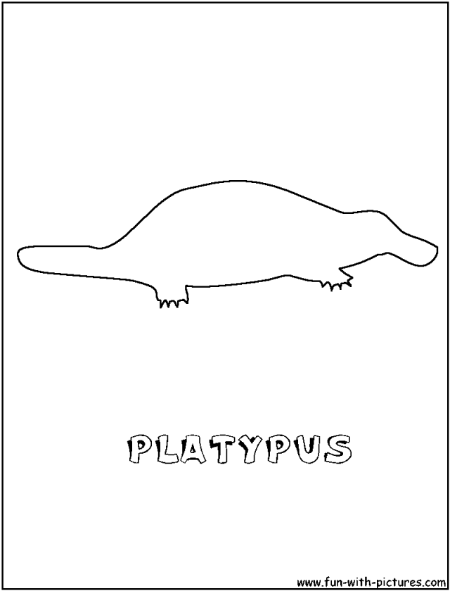 Platypus Coloring Page Perry The Platypus Christmas Coloring Pages 