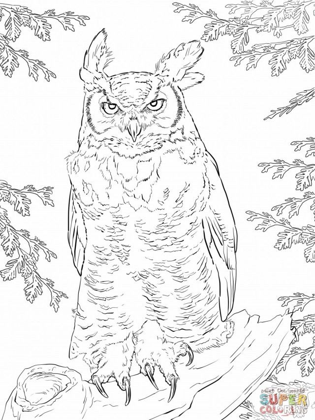 Realistic Great Horned Owl Coloring Page Online Jpg 240132 Great 