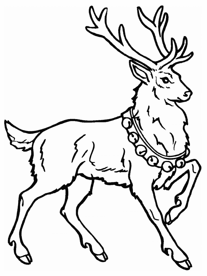 Coloring Page - Deer coloring pages 8