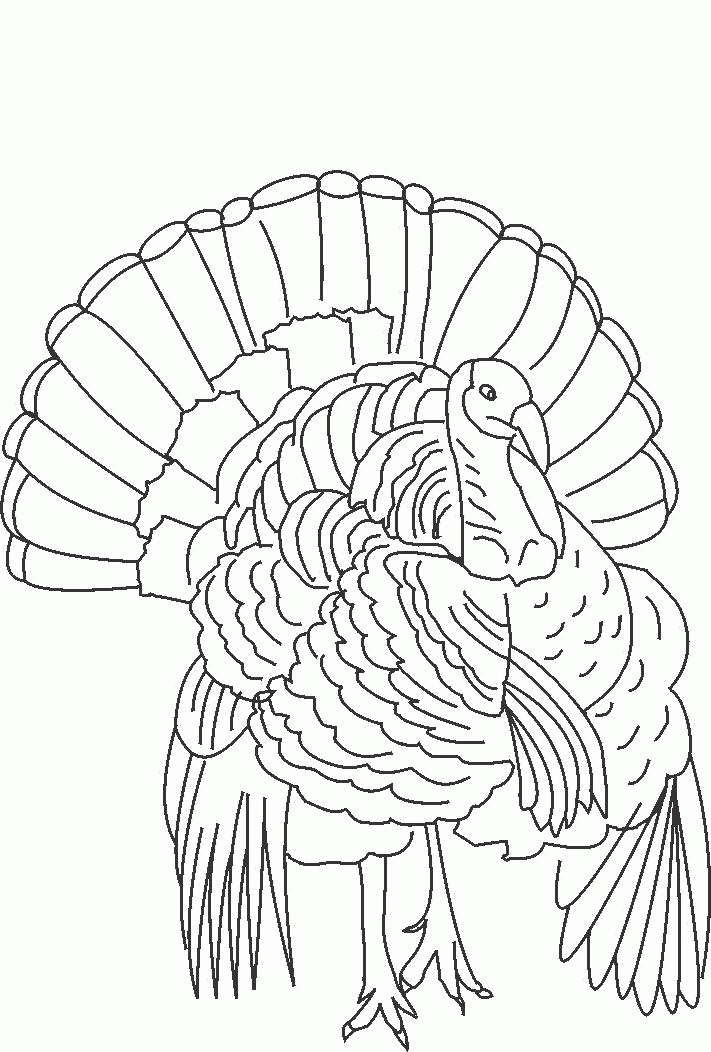 The King Of Wild Turkey Coloring Pages - Christmas Coloring Pages 