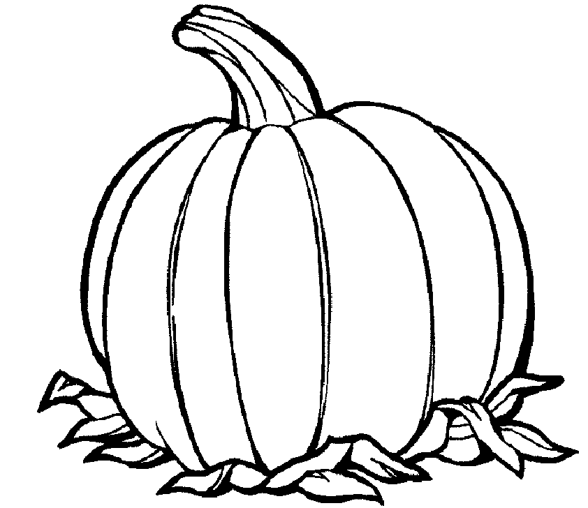 Thanksgiving Coloring Pages For Kids Free