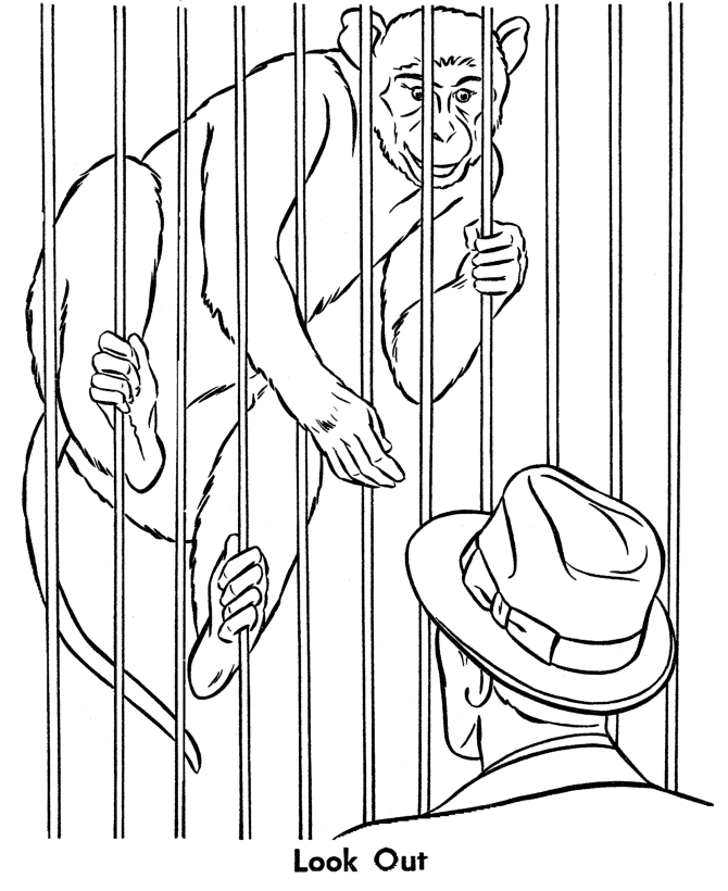 Zoo Animal Coloring Pages | Zoo Monkey stealing a hat Coloring 