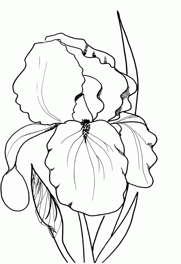 Spring Flowers Coloring Books - Spring day Cartoon Coloring Pages 