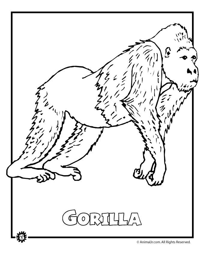 Printable Coloring Pages AnimalsColoring Pages | Coloring Pages