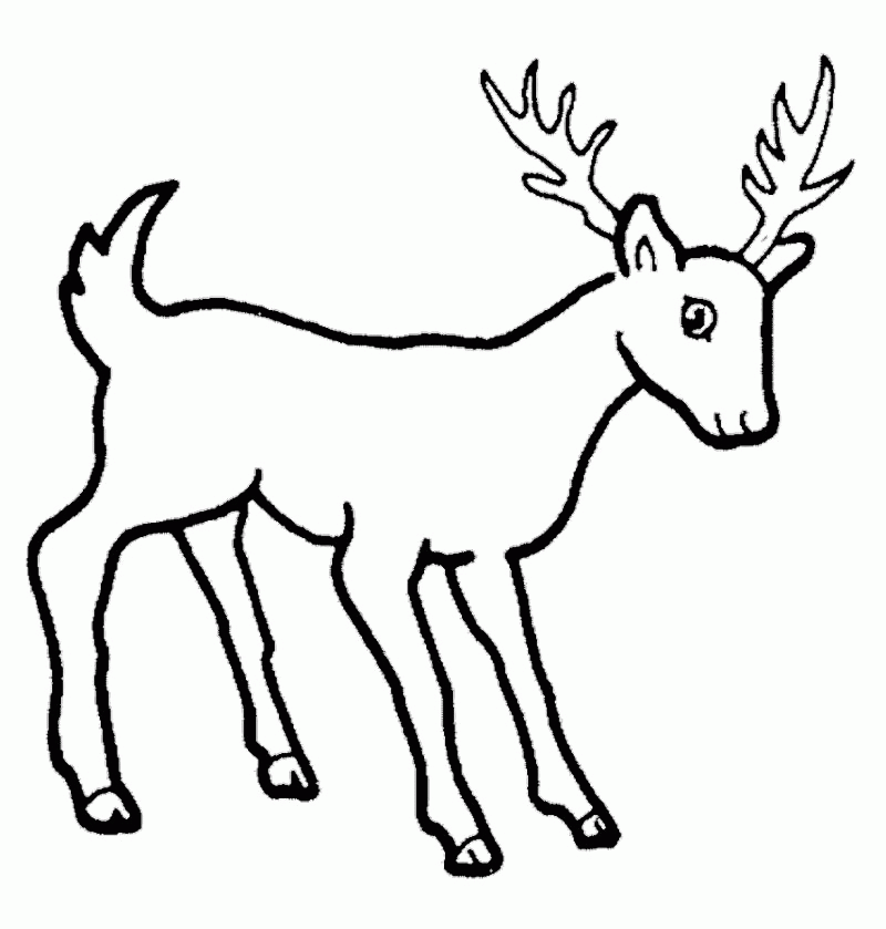 Animal-Deer-Coloring-Pages.jpg