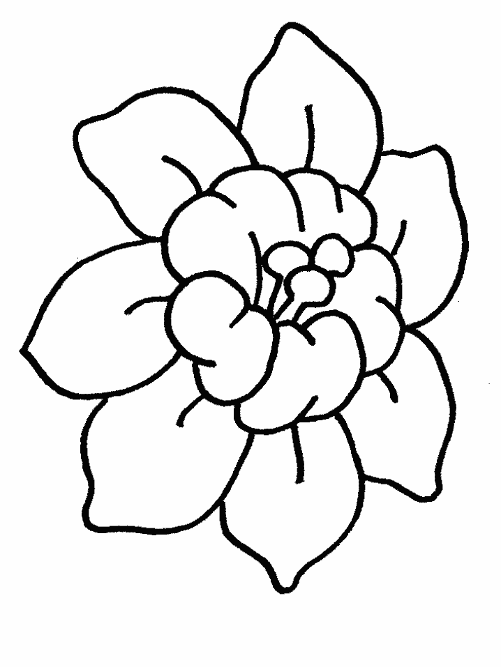 four leaf clover coloring pages | Coloring Picture HD For Kids 