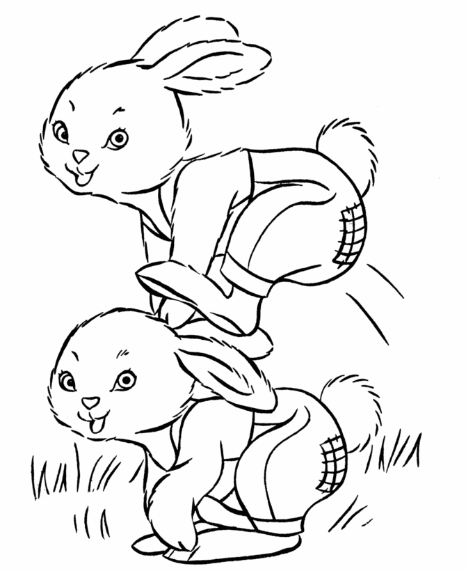 Bunny Coloring Pages - Wallpaper HD