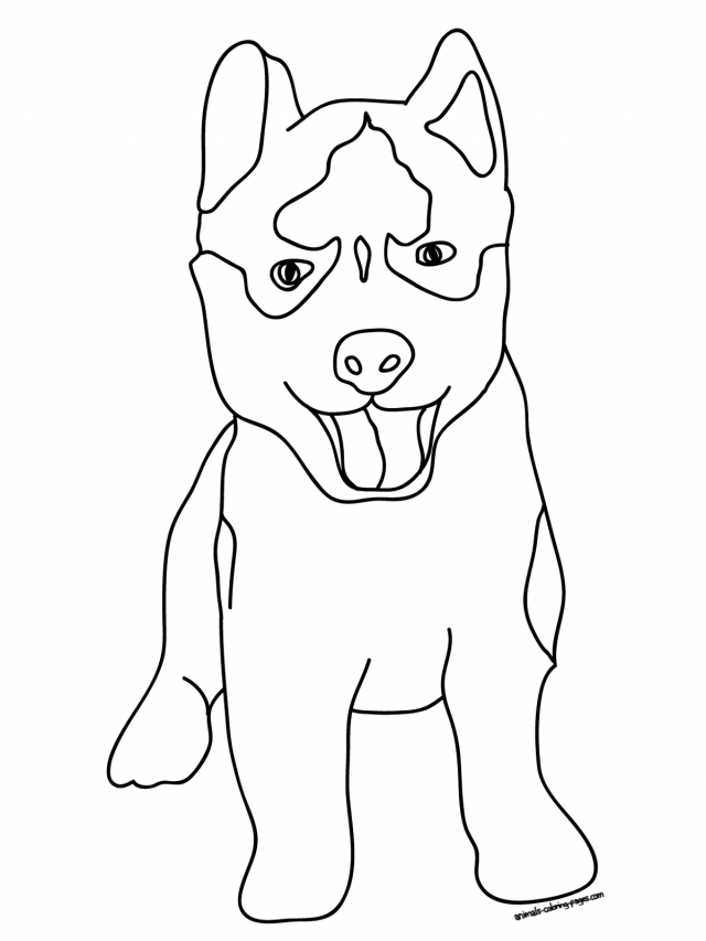Husky Puppy Coloring Pages Coloring Online Coloring Games 197813 