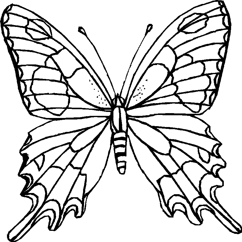 Butterfly-Printable-Coloring- 