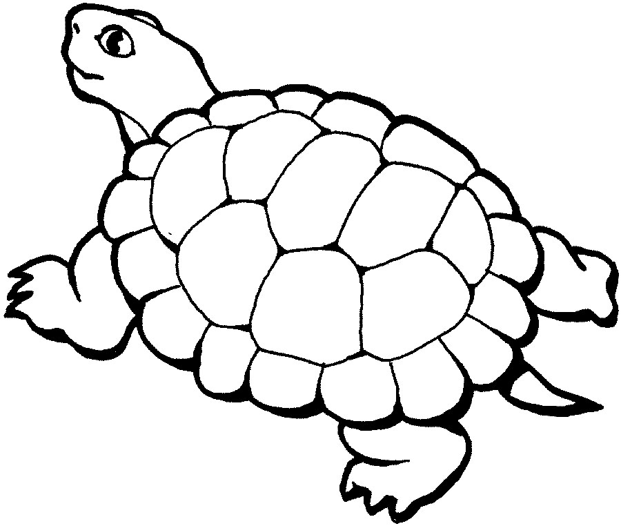 Coloring Pages: Turtles Free Printable Coloring Pages