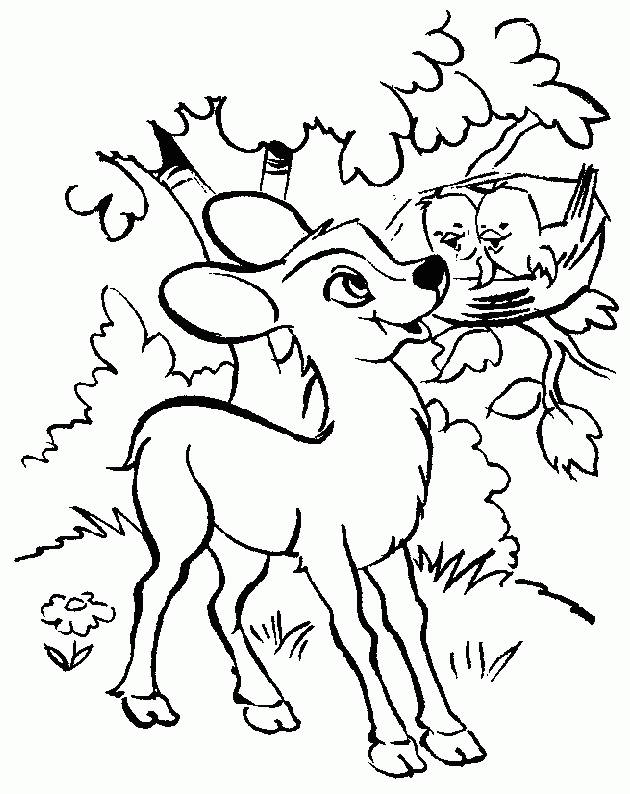Animals Deer print coloring pages. 8