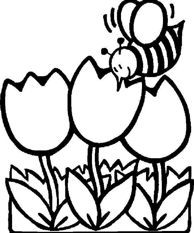 tagged anime printable unova pokemon coloring pages