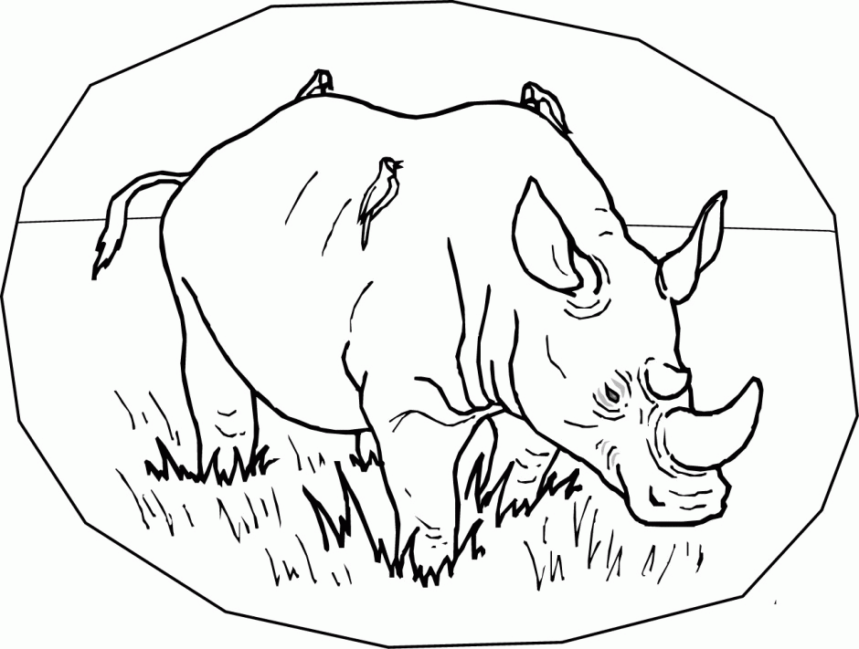 Colouring Pages Wild Animals LetsColoring 285370 Coloring Pages Of 