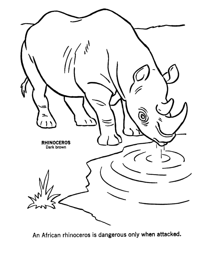 African Rhinoceros at the water Coloring page for kids | coloring 