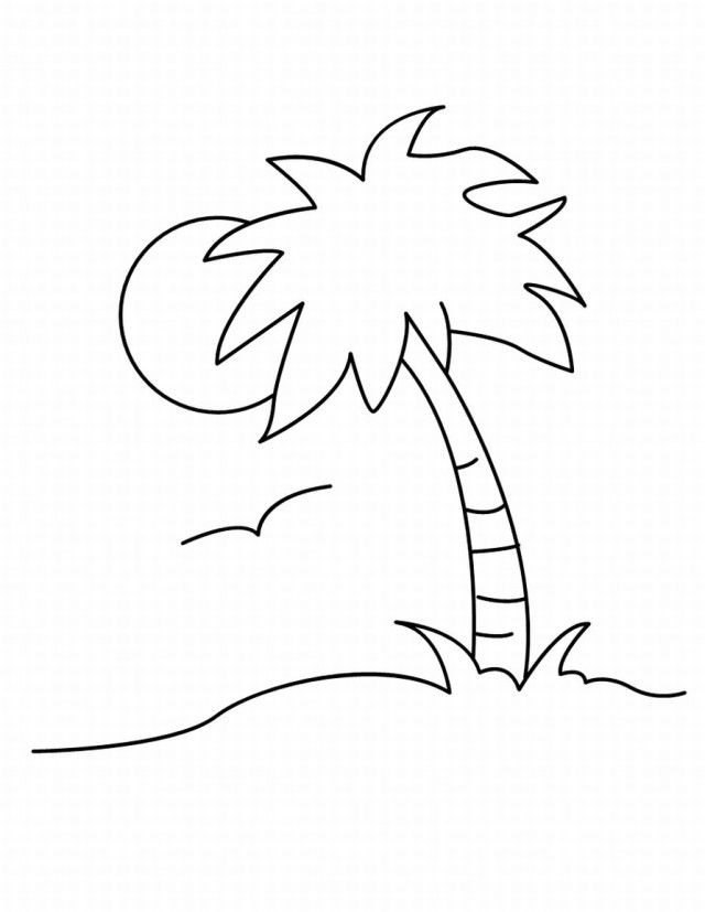 Easier Tree Coloring Pages Palm Page Site | Laptopezine.