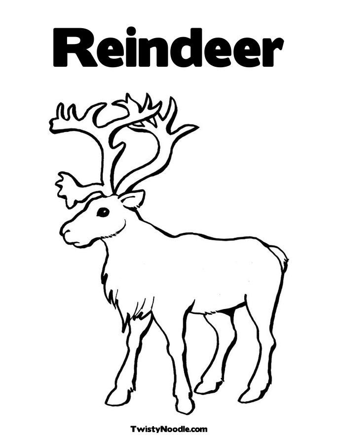 Pin Reindeer Coloring Pages Cake