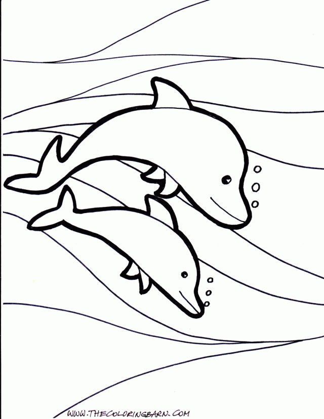 Dolphins The Coloring Barn Printable Pages | Laptopezine.