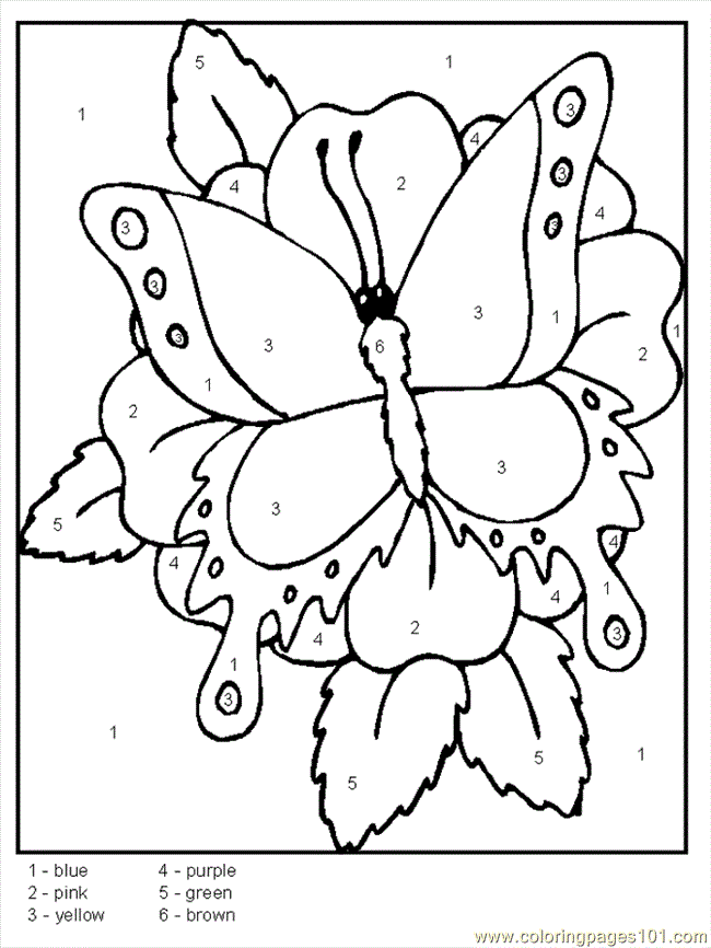 Page 154 | Animals coloring pages | Coloring-
