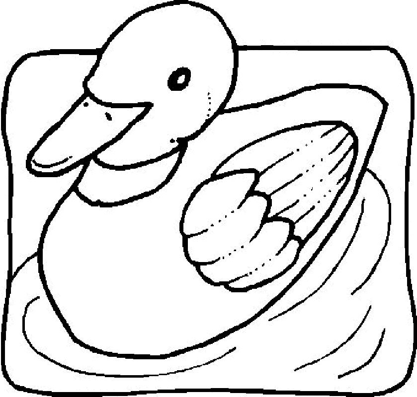 Ducks | Free Printable Coloring Pages