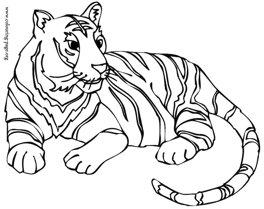 Tigers - A wild tiger resting coloring page