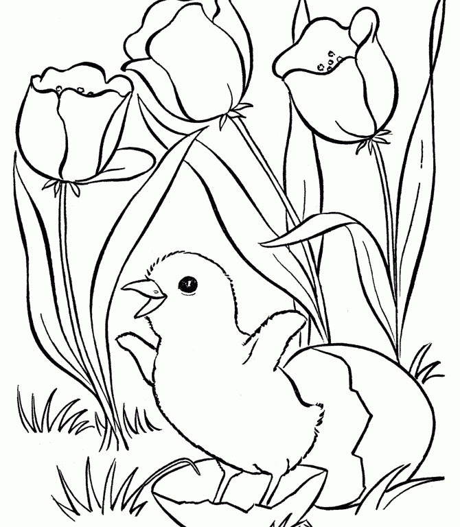 Kids Coloring Pages | Printable Coloring Sheet