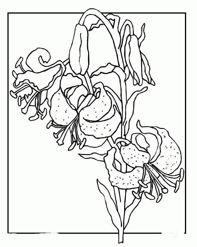 Spring Flower Coloring Book Pages - Spring Day Coloring Pages 