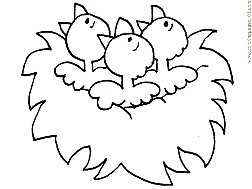 Coloring Pages Chicks, Hens and Roosters (Birds > Chicks, Hens and 