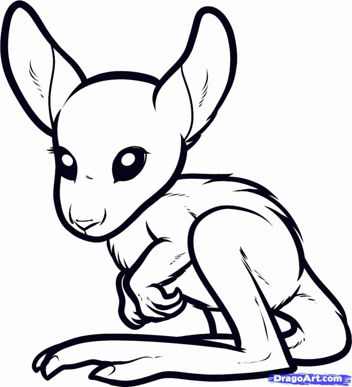 Baby Kangaroo Coloring Pages For Kids