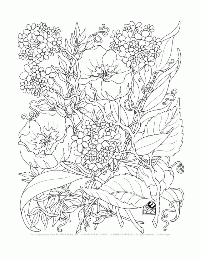 Print Best Detailed Coloring Pages For Adults 2014 Download 290290 