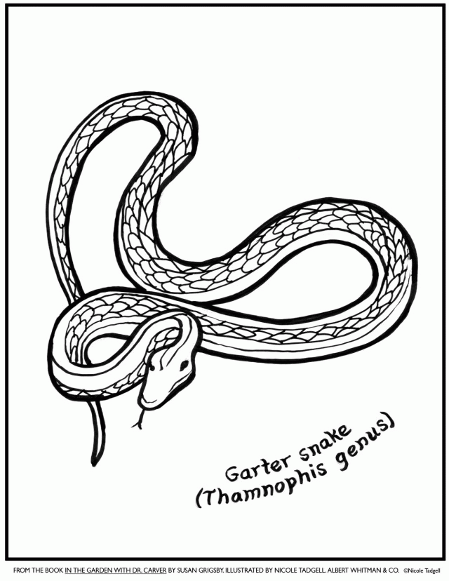 Snake Coloring Snake Coloring Pages For Kids Kids Coloring Pages 